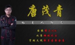 爆料黑骑士最新皮肤视频,爆料视频揭秘神秘特效与设计细节