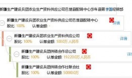 新疆最新消息爆料电话,神秘电话揭开神秘面纱