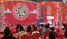 天津春晚爆料最新消息,精彩节目抢先看，明星阵容大揭秘！