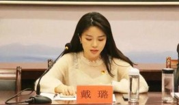 西安王娇娇爆料事件最新,真相与争议再掀波澜