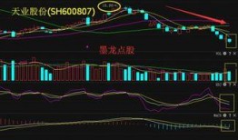 股票最新消息爆料是真的吗,真相揭秘，是真是假？